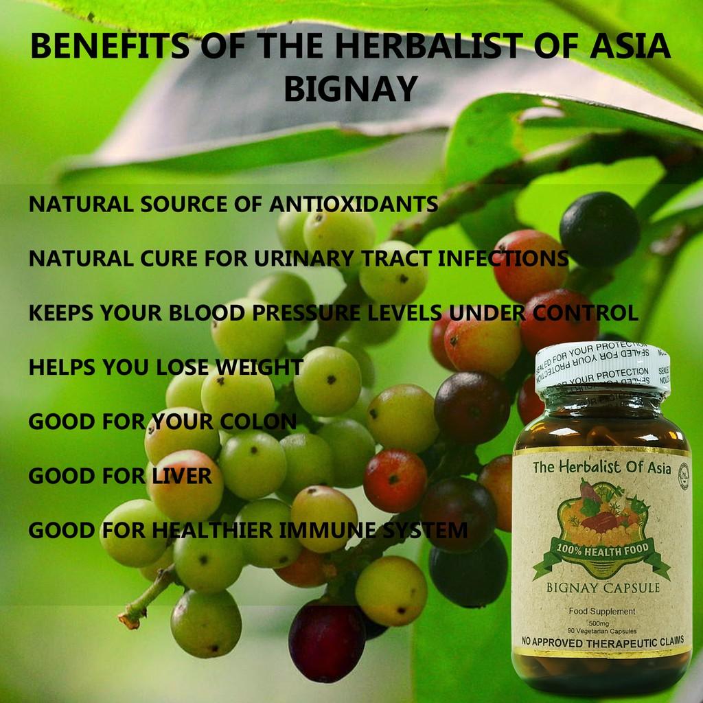 The Herbalist Of Asia 90 Vegetarian Capsule 500mg Bignay capsule 1 Bottle The Herbalist Of Asia 90 Vegetarian Capsule 500mg Bignay capsule 1 Bottle
